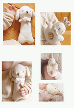 Load image into Gallery viewer, Baby Rattle Set